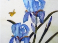 Flowers and Butterflies on Silk by Karen Gowlett
